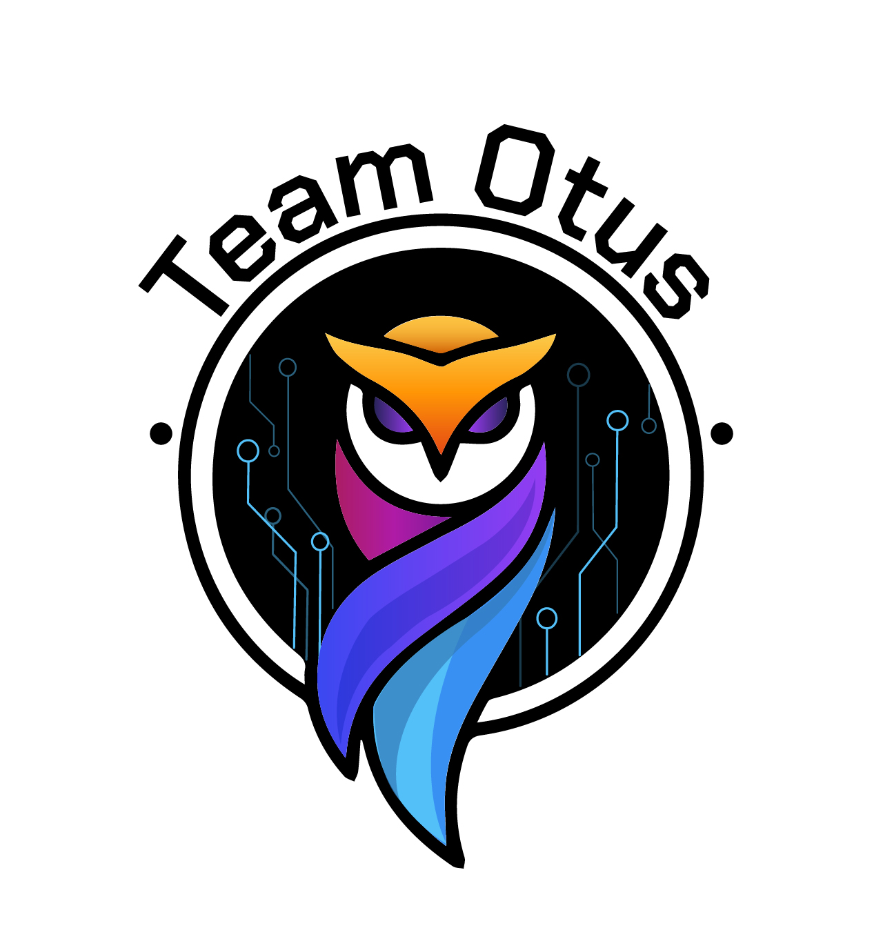 Team Otus Technology